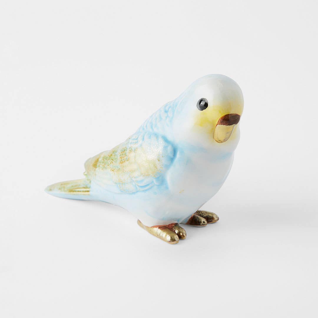 Budgie