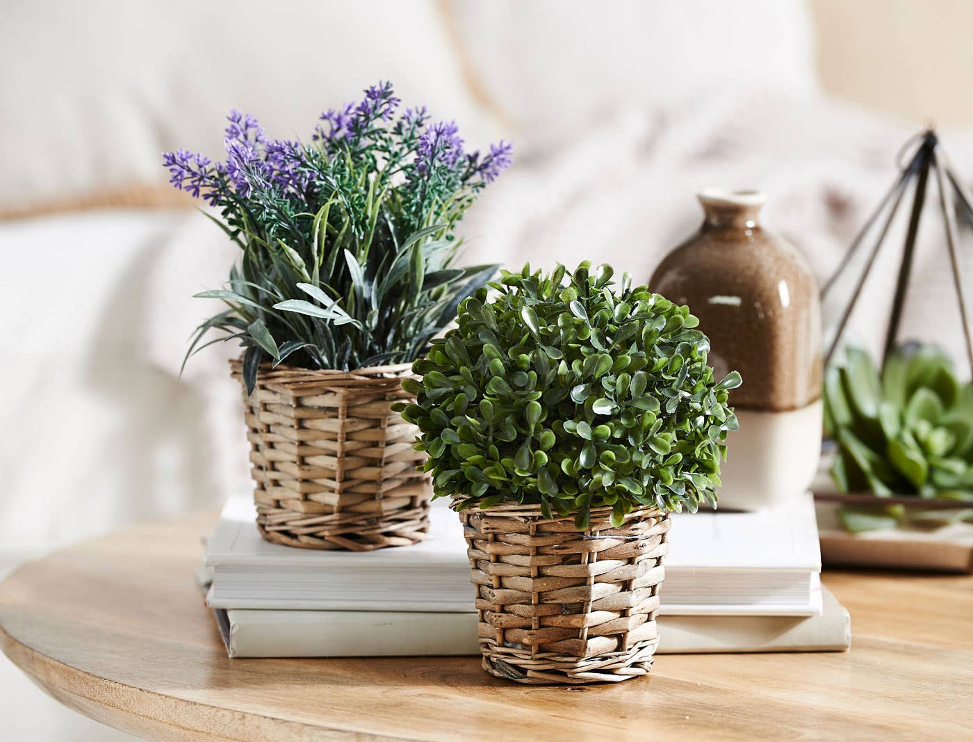 Potted Box Hedge In Basket