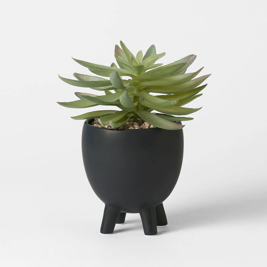 Enza Standing Pot with Succulents