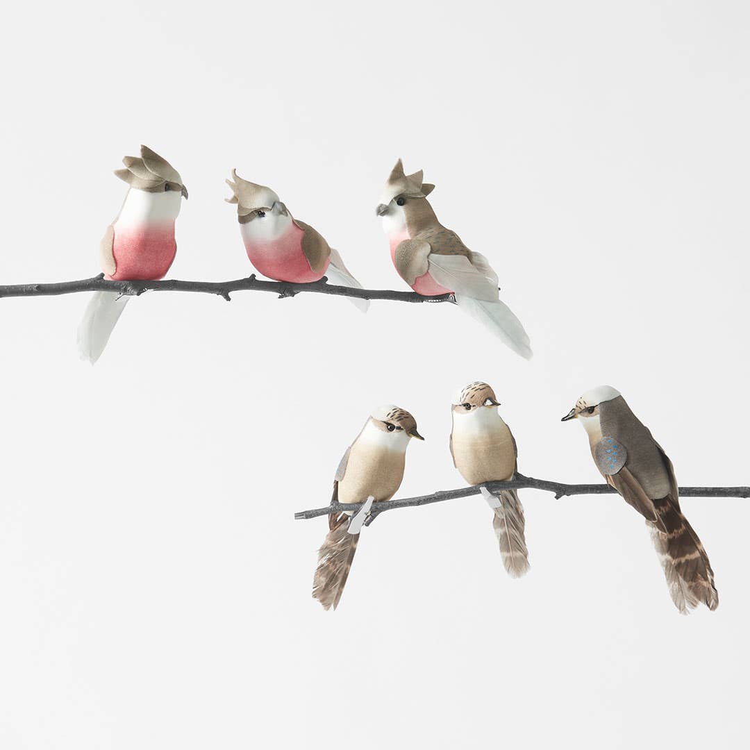 Feather Galah/ Kookaburra On Clip Set Of 6